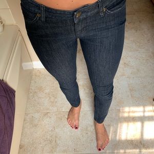 Michael Kors Petite Straight Denim